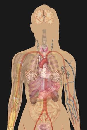 Douglas College human anatomy and physiology