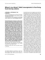 dc_12369_TN.jpg