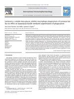 Laminarin, a soluble beta-glucan, inhibits macrophage phagocytosis of zymosan buthas not effect on lipoposaccharide mediated augmentation of phagocytosis