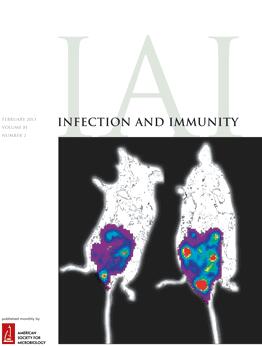 Antigen-coated latex particles as a model system for probing monocyte responses in leprosy