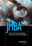 Animal abundance and food availability in coastal lagoons and intertidal marine sediments