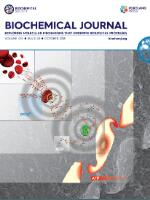 A proteolytic fragment of Mcl-1 exhibits nuclear localization and regulates cell growth by interaction with Cdk1