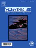 Cytokine-mediated FOXO3a phosphorylation suppresses FasL expression in hemopoietic cell lines: Investigations of the role of Fas in apoptosis due to cytokine starvation