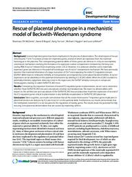 Rescue of placental phenotype in a mechanistic model of Beckwith-Wiedemann syndrome