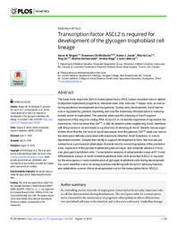 Transcription factor ASCL2 is required for development of the glycogen trophoblast cell lineage