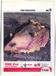 OtherPress2005Vol32No2.pdf-13